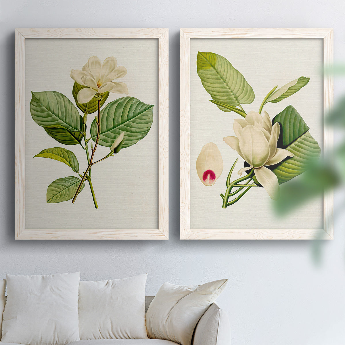 Set of two white barnwood framed canvas prints depicting large pale petals, leafy branches, and soft watercolor shading arranged across two complementary compositions above a sofa in a bright living space.