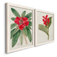 Angled view of a set of two white barnwood framed canvas prints featuring two antique botanical plate illustrations featuring vivid tropical flowering plants.