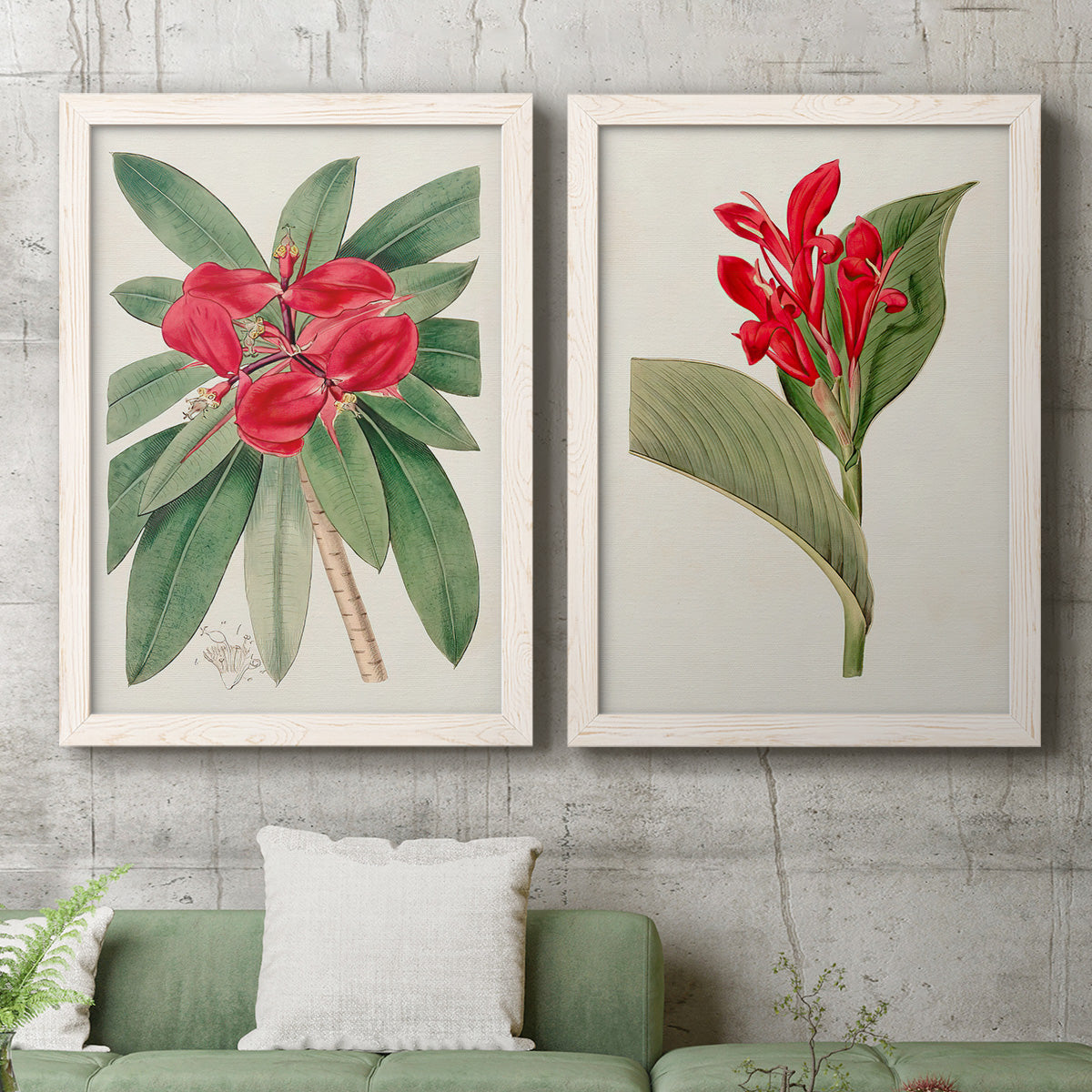 Set of two white barnwood framed canvas prints depicting a coordinated art pair of vivid tropical flowering plants rendered as antique botanical plate illustrations above a sofa in a modern living room.