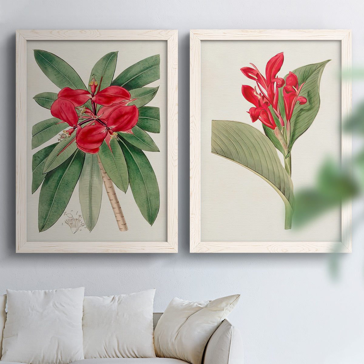 Set of two white barnwood framed canvas prints depicting large green leaves, red blossoms, and archival cream paper arranged across two complementary compositions above a sofa in a bright living space.