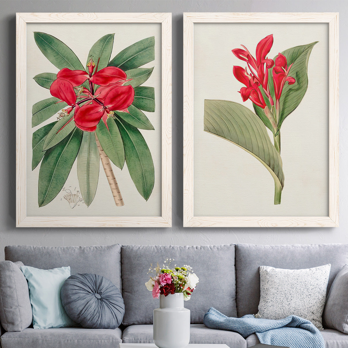 Set of two white barnwood framed canvas prints depicting paired antique botanical plate illustrations with large green leaves, red blossoms, and archival cream paper above a sofa in a contemporary living room.
