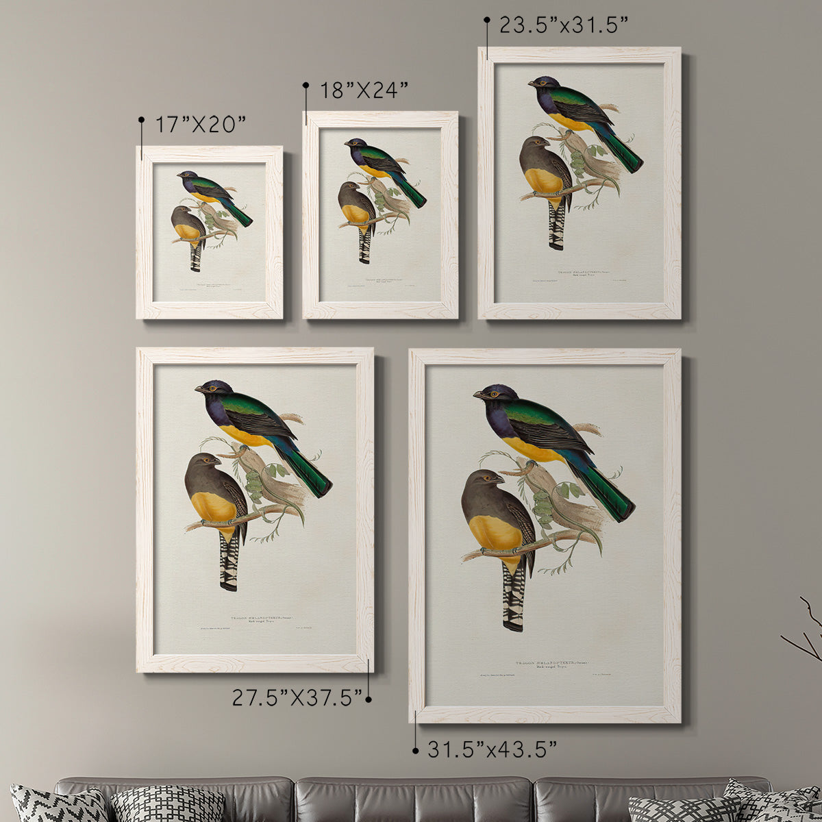 Size comparison chart for a set of two white barnwood framed canvas prints.