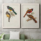 Set of two white barnwood framed canvas prints depicting a coordinated art pair of colorful tropical birds perched on leafy branches rendered as vintage ornithological illustrations above a sofa in a modern living room.