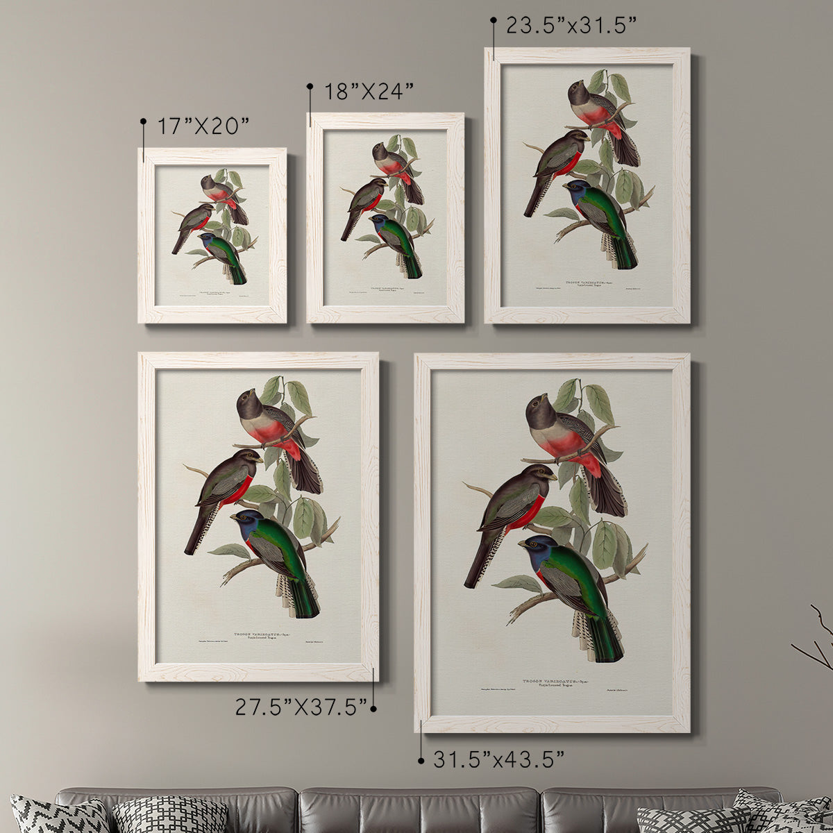 Size comparison chart for a set of two white barnwood framed canvas prints.