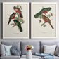 Set of two white barnwood framed canvas prints depicting paired vintage ornithological illustrations with detailed plumage, botanical sprigs, and archival cream paper above a sofa in a contemporary living room.