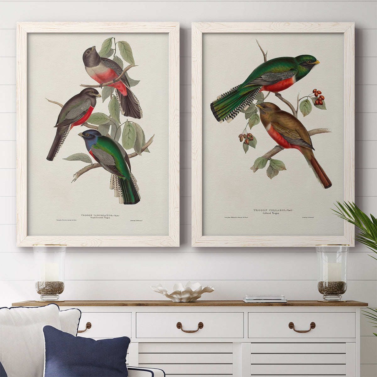 Set of two white barnwood framed canvas prints depicting a coordinated art pair of colorful tropical birds perched on leafy branches rendered as vintage ornithological illustrations above a dining room sideboard.
