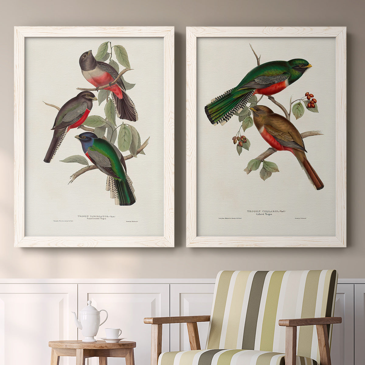 Set of two white barnwood framed canvas prints depicting two vintage ornithological illustrations featuring colorful tropical birds perched on leafy branches above a sideboard in a cozy sitting room.
