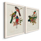 Angled view of a set of two white barnwood framed canvas prints featuring two vintage ornithological illustrations featuring colorful tropical birds perched on leafy branches.