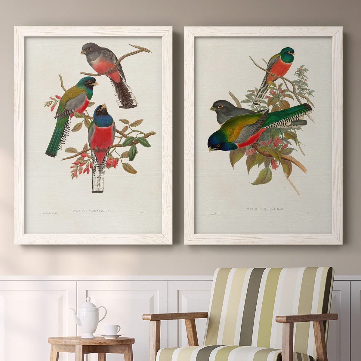 Set of two white barnwood framed canvas prints depicting two vintage ornithological illustrations featuring colorful tropical birds perched on leafy branches above a sideboard in a cozy sitting room.