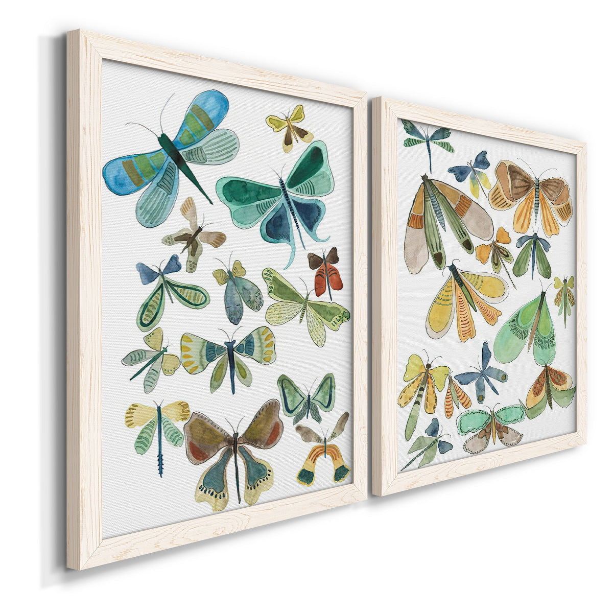 Angled view of a set of two white barnwood framed canvas prints featuring two decorative insect illustrations featuring collections of moths and butterflies.