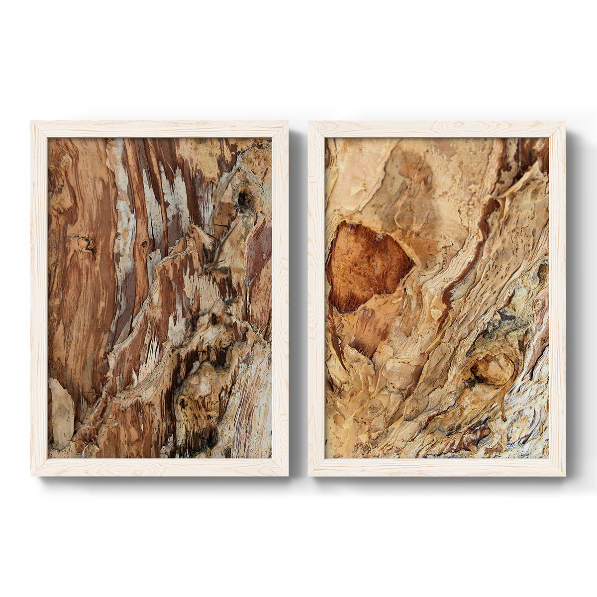 Set of two white barnwood framed canvas prints featuring two rustic nature photography featuring close-up tree bark textures.