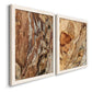 Angled view of a set of two white barnwood framed canvas prints featuring two rustic nature photography featuring close-up tree bark textures.