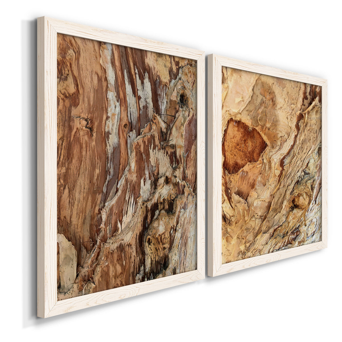 Angled view of a set of two white barnwood framed canvas prints featuring two rustic nature photography featuring close-up tree bark textures.