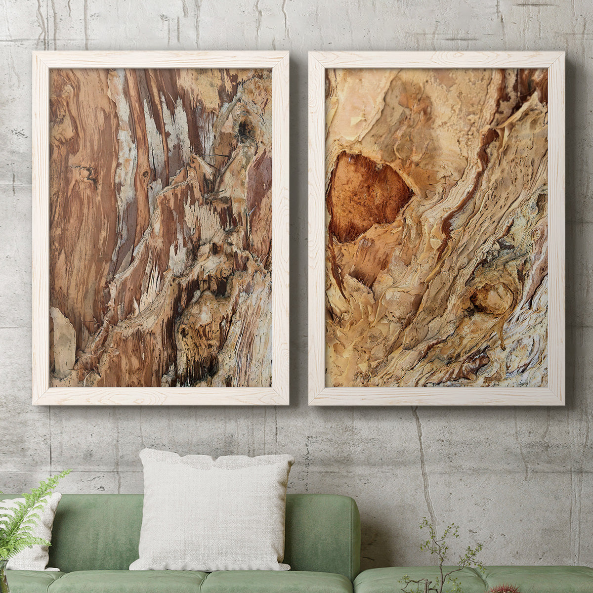 Set of two white barnwood framed canvas prints depicting a coordinated art pair of close-up tree bark textures rendered as rustic nature photography above a sofa in a modern living room.