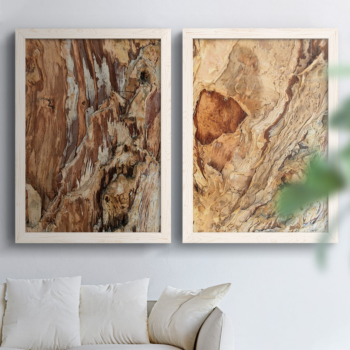 Set of two white barnwood framed canvas prints depicting layered brown tan and cream bark with rugged organic detail arranged across two complementary compositions above a sofa in a bright living space.