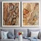 Set of two white barnwood framed canvas prints depicting paired rustic nature photography with layered brown tan and cream bark with rugged organic detail above a sofa in a contemporary living room.