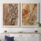 Set of two white barnwood framed canvas prints depicting a coordinated art pair of close-up tree bark textures rendered as rustic nature photography above a dining room sideboard.