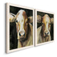 Angled view of a set of two white barnwood framed canvas prints featuring two painterly farm-animal portraits featuring close-up portraits of gentle brown cows.
