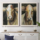 Set of two white barnwood framed canvas prints depicting a coordinated art pair of close-up portraits of gentle brown cows rendered as painterly farm-animal portraits above a dining room sideboard.