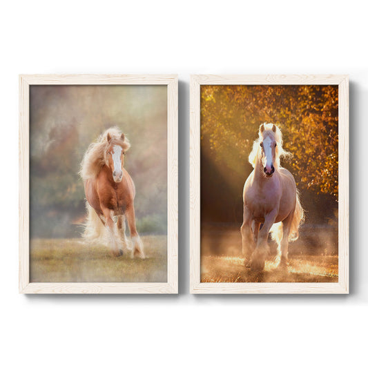 Set of two white barnwood framed canvas prints featuring two dramatic equestrian photography featuring horses running through misty autumn light.