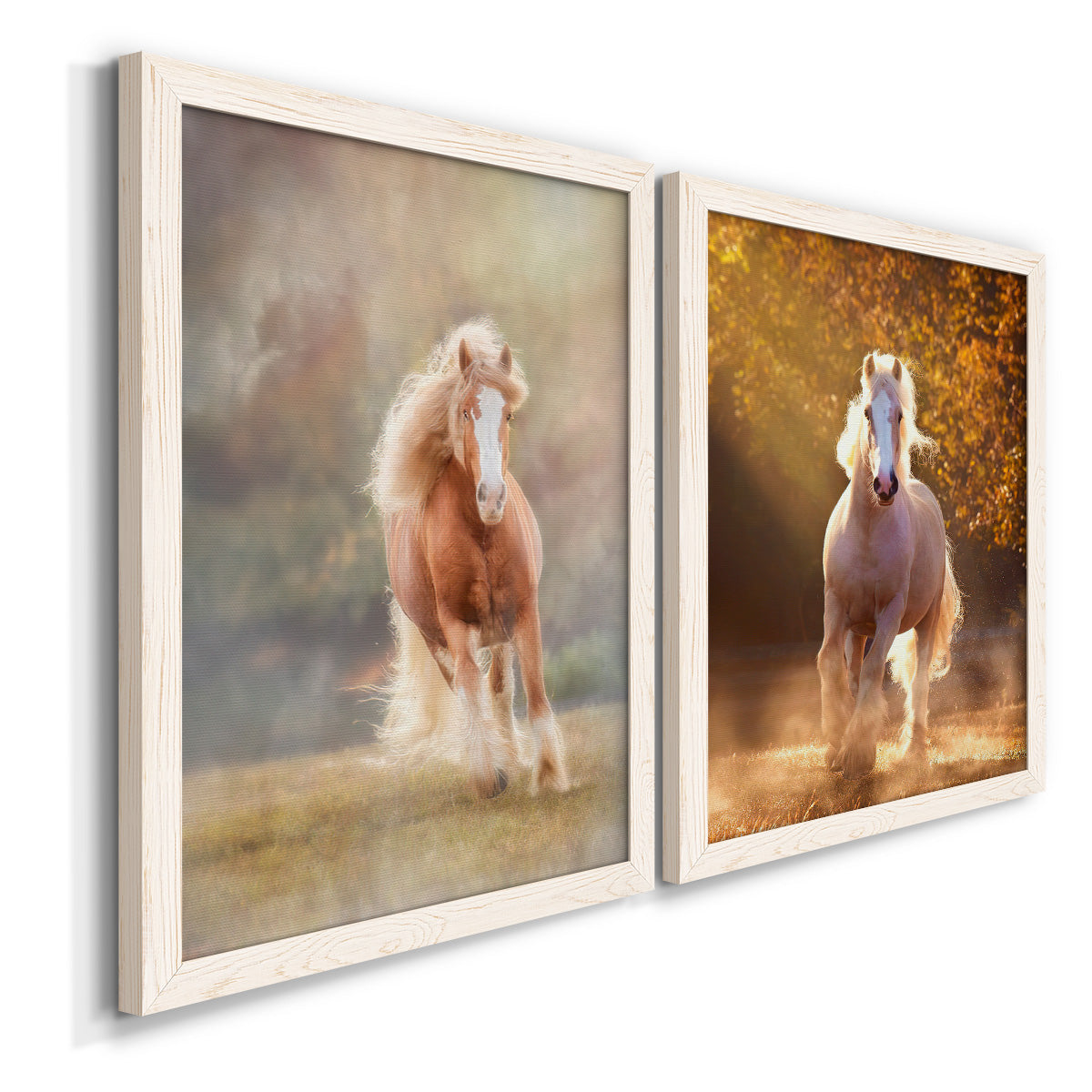 Angled view of a set of two white barnwood framed canvas prints featuring two dramatic equestrian photography featuring horses running through misty autumn light.