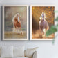 Set of two white barnwood framed canvas prints depicting chestnut and white horses, dust, golden trees, and softly blurred backgrounds arranged across two complementary compositions above a sofa in a bright living space.