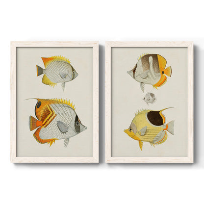 Set of two white barnwood framed canvas prints featuring two natural-history fish illustrations featuring groups of vintage tropical fish.
