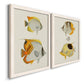 Angled view of a set of two white barnwood framed canvas prints featuring two natural-history fish illustrations featuring groups of vintage tropical fish.