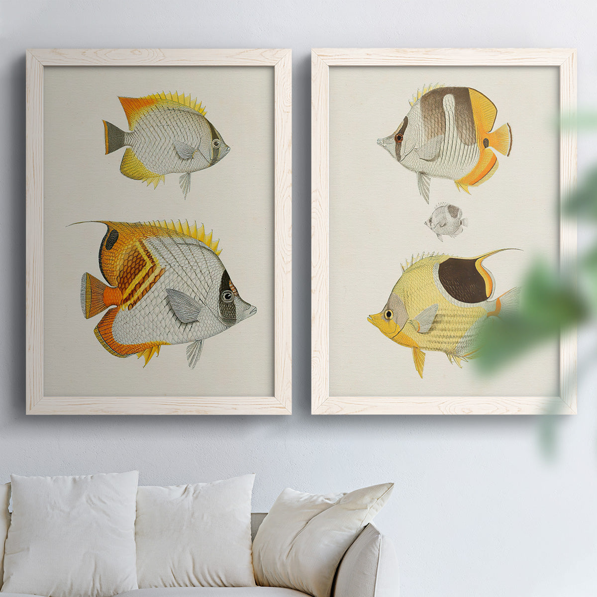 Set of two white barnwood framed canvas prints depicting striped yellow gray and orange bodies on pale archival paper arranged across two complementary compositions above a sofa in a bright living space.