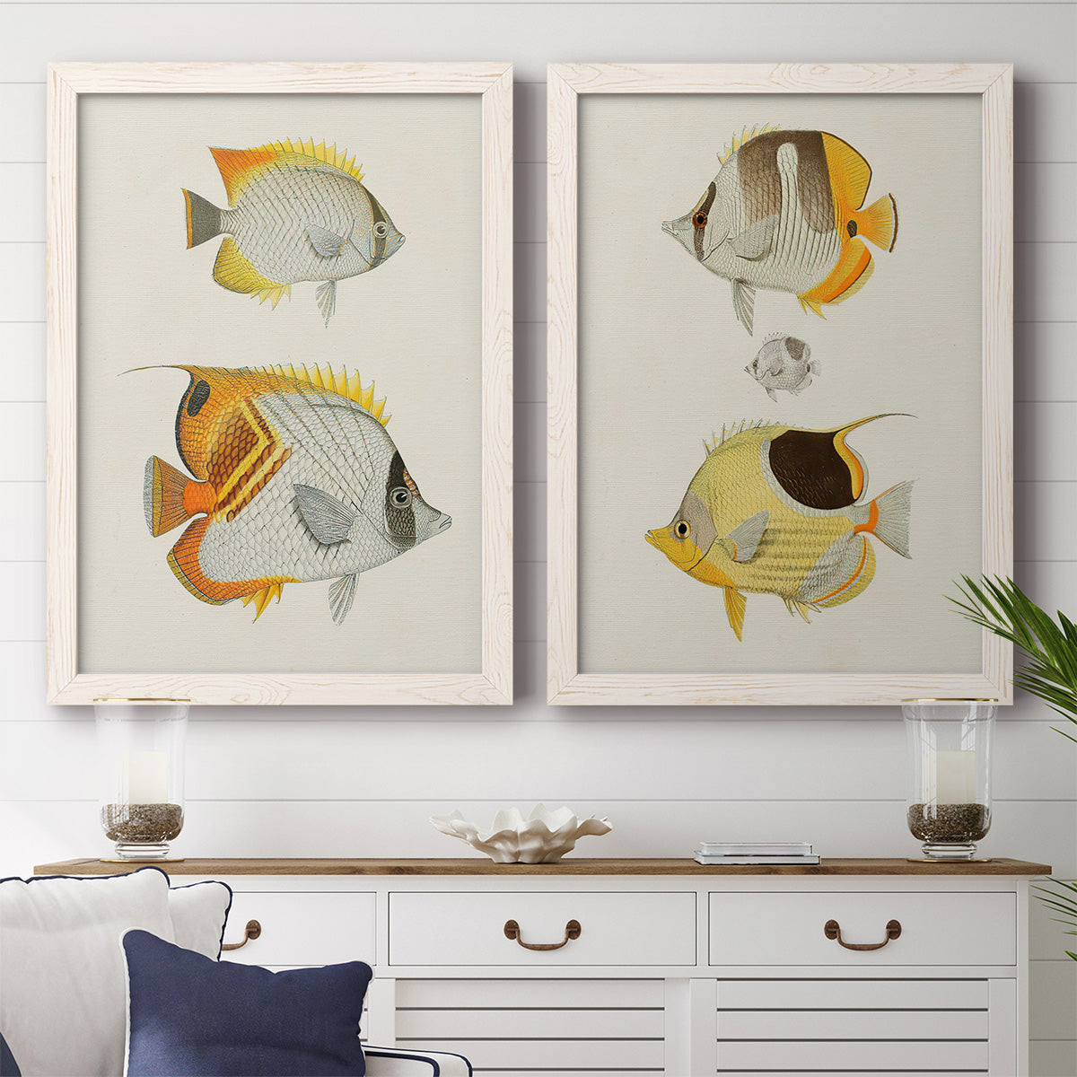 Set of two white barnwood framed canvas prints depicting a coordinated art pair of groups of vintage tropical fish rendered as natural-history fish illustrations above a dining room sideboard.