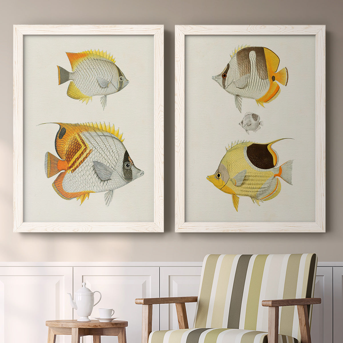 Set of two white barnwood framed canvas prints depicting two natural-history fish illustrations featuring groups of vintage tropical fish above a sideboard in a cozy sitting room.