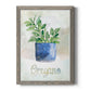 Potted Oregano - Barnwood Framed Canvas Print