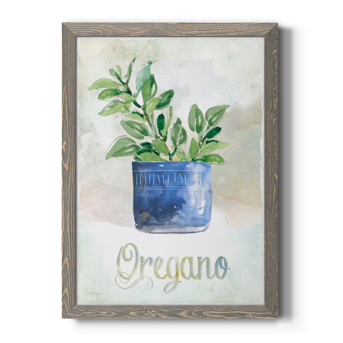 Potted Oregano - Barnwood Framed Canvas Print