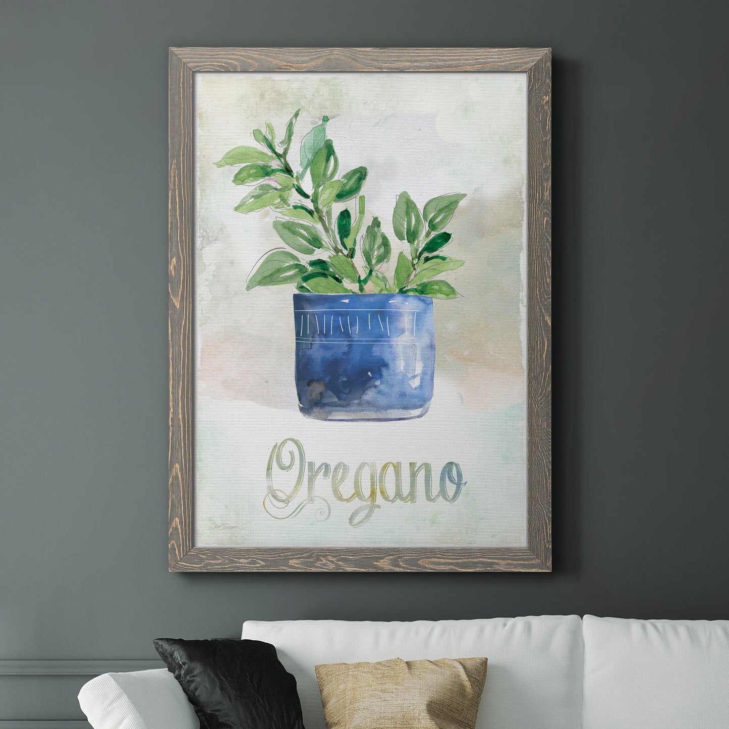 Potted Oregano - Barnwood Framed Canvas Print