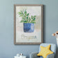 Potted Oregano - Barnwood Framed Canvas Print