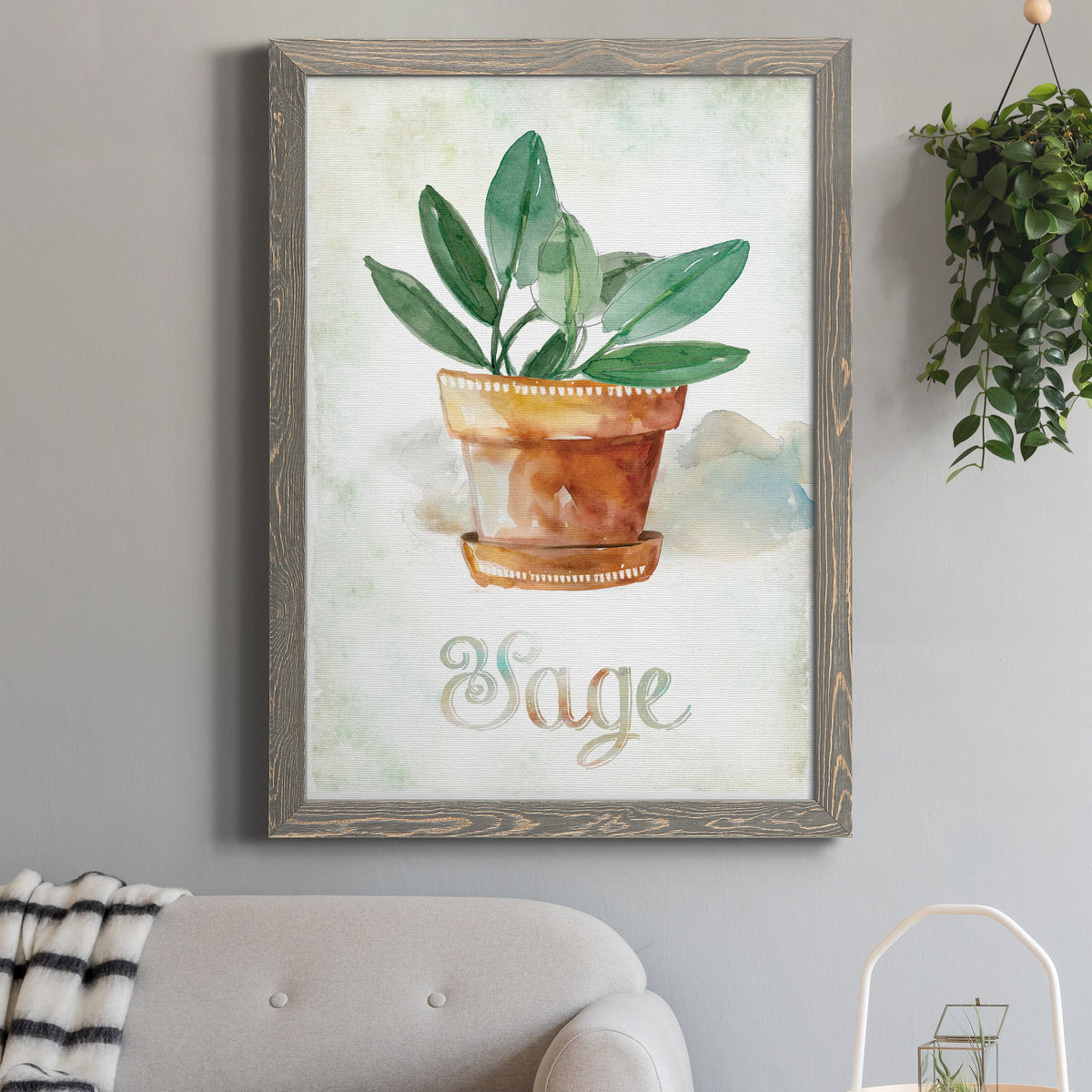 Potted Sage - Barnwood Framed Canvas Print