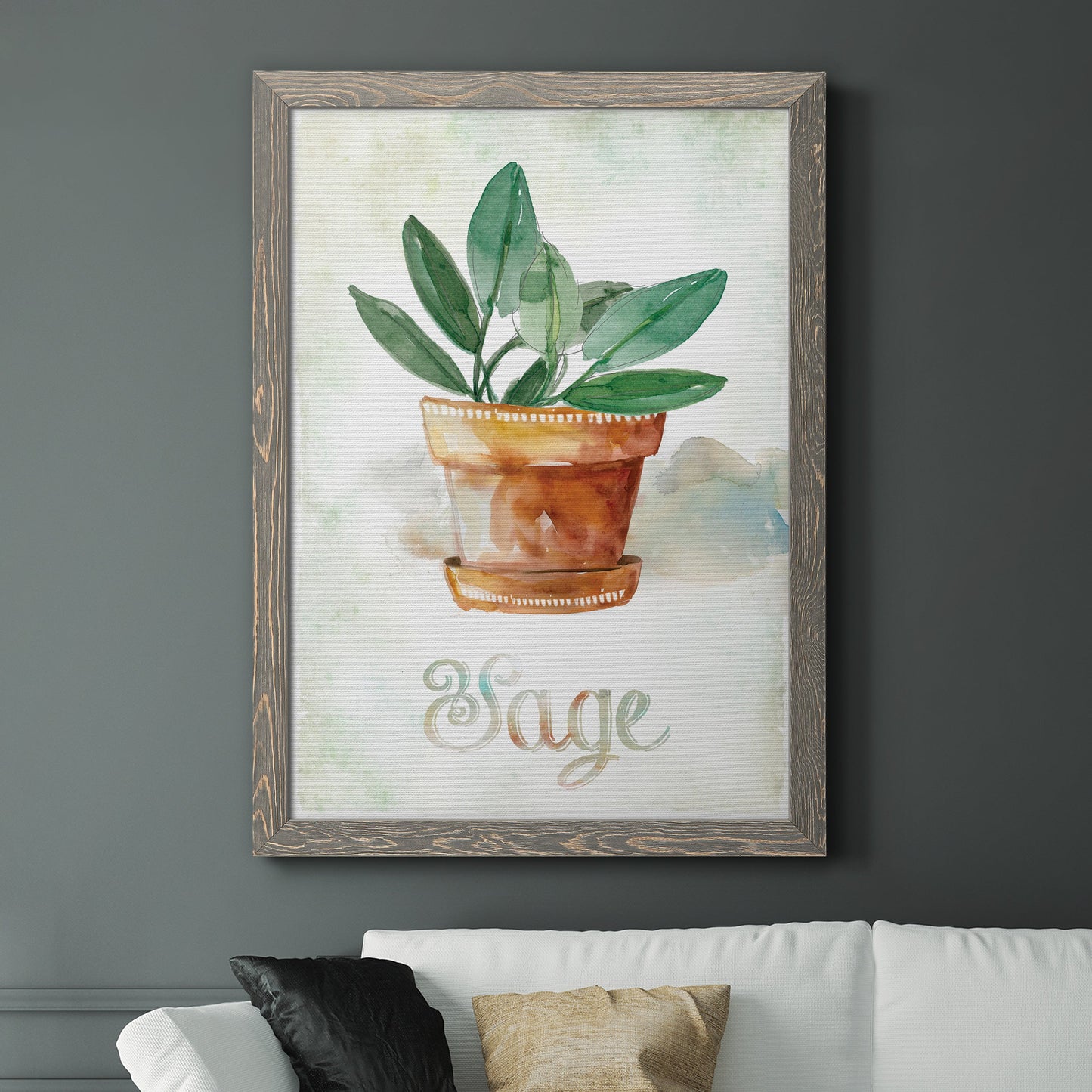 Potted Sage - Barnwood Framed Canvas Print