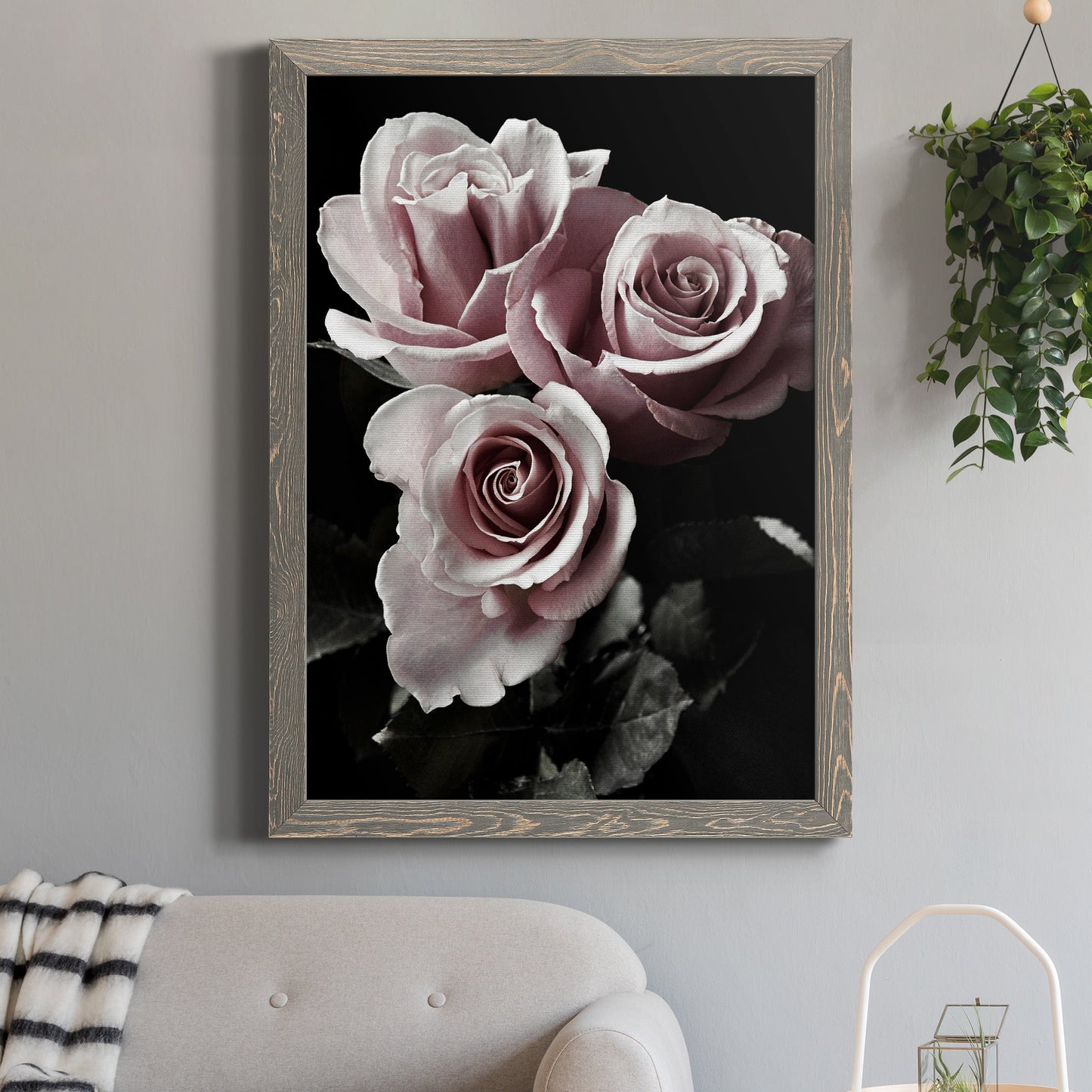 Rose Noir I - Barnwood Framed Canvas Print