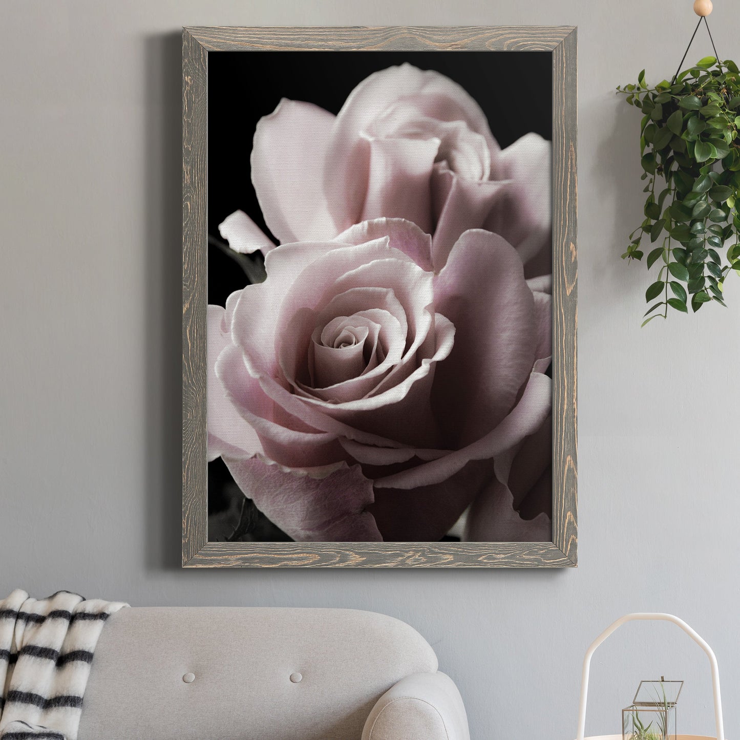 Rose Noir II - Barnwood Framed Canvas Print