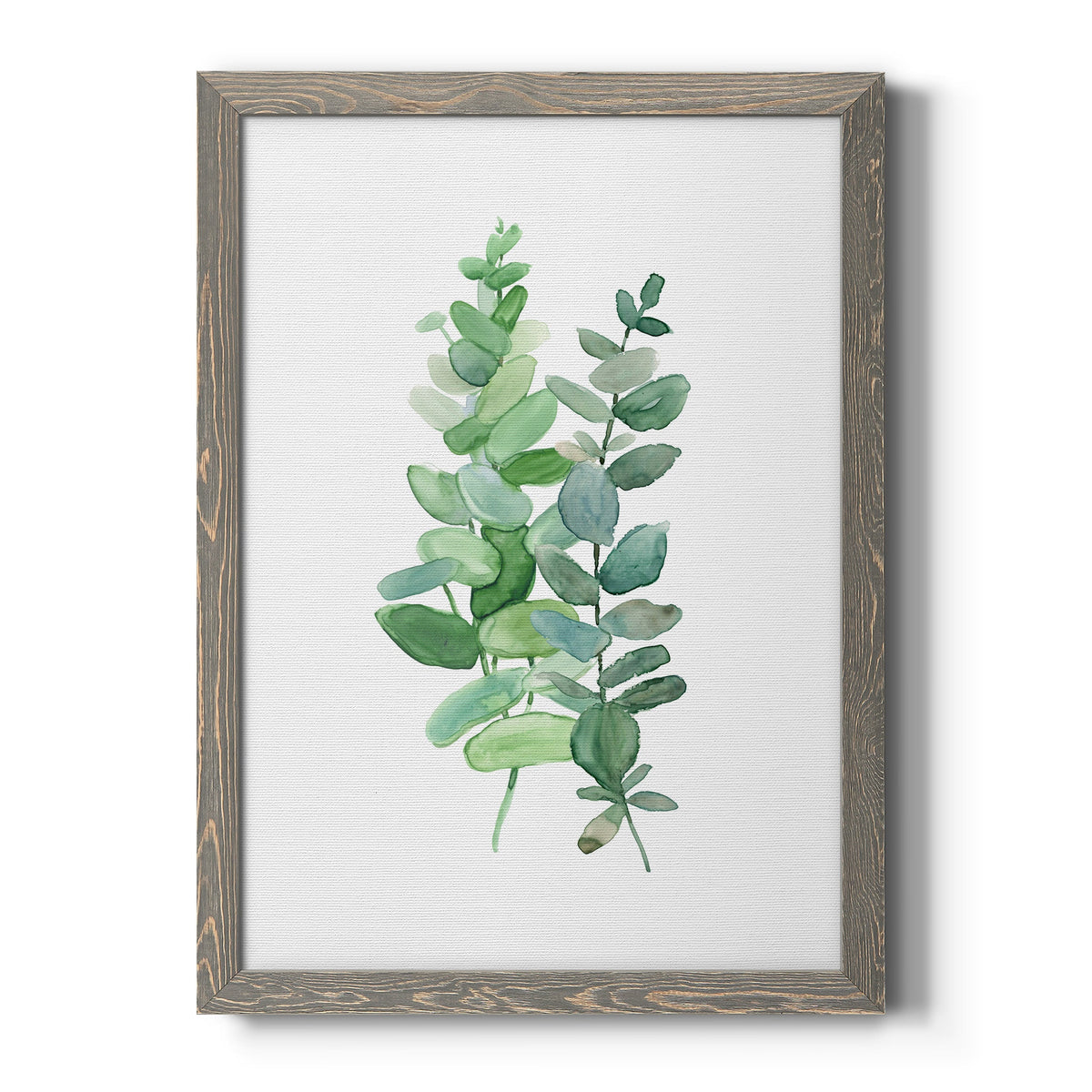 Eucalyptus II - Barnwood Framed Canvas Print