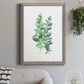 Eucalyptus II - Barnwood Framed Canvas Print
