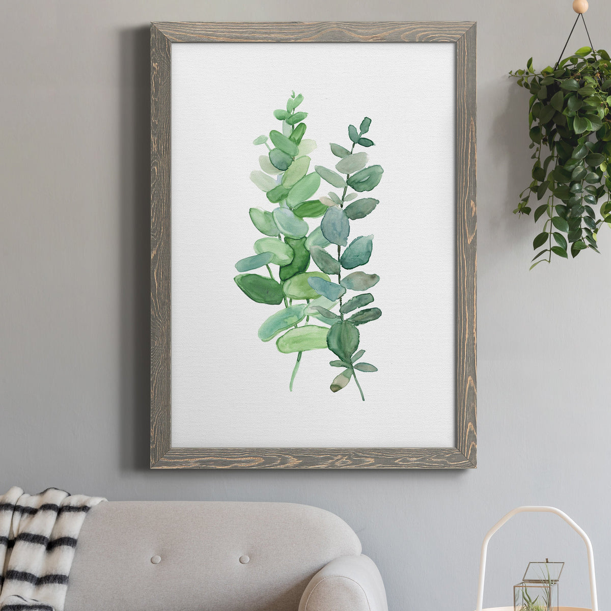 Eucalyptus II - Barnwood Framed Canvas Print