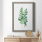 Eucalyptus II - Barnwood Framed Canvas Print