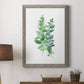 Eucalyptus II - Barnwood Framed Canvas Print