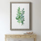 Eucalyptus II - Barnwood Framed Canvas Print