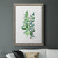 Eucalyptus II - Barnwood Framed Canvas Print