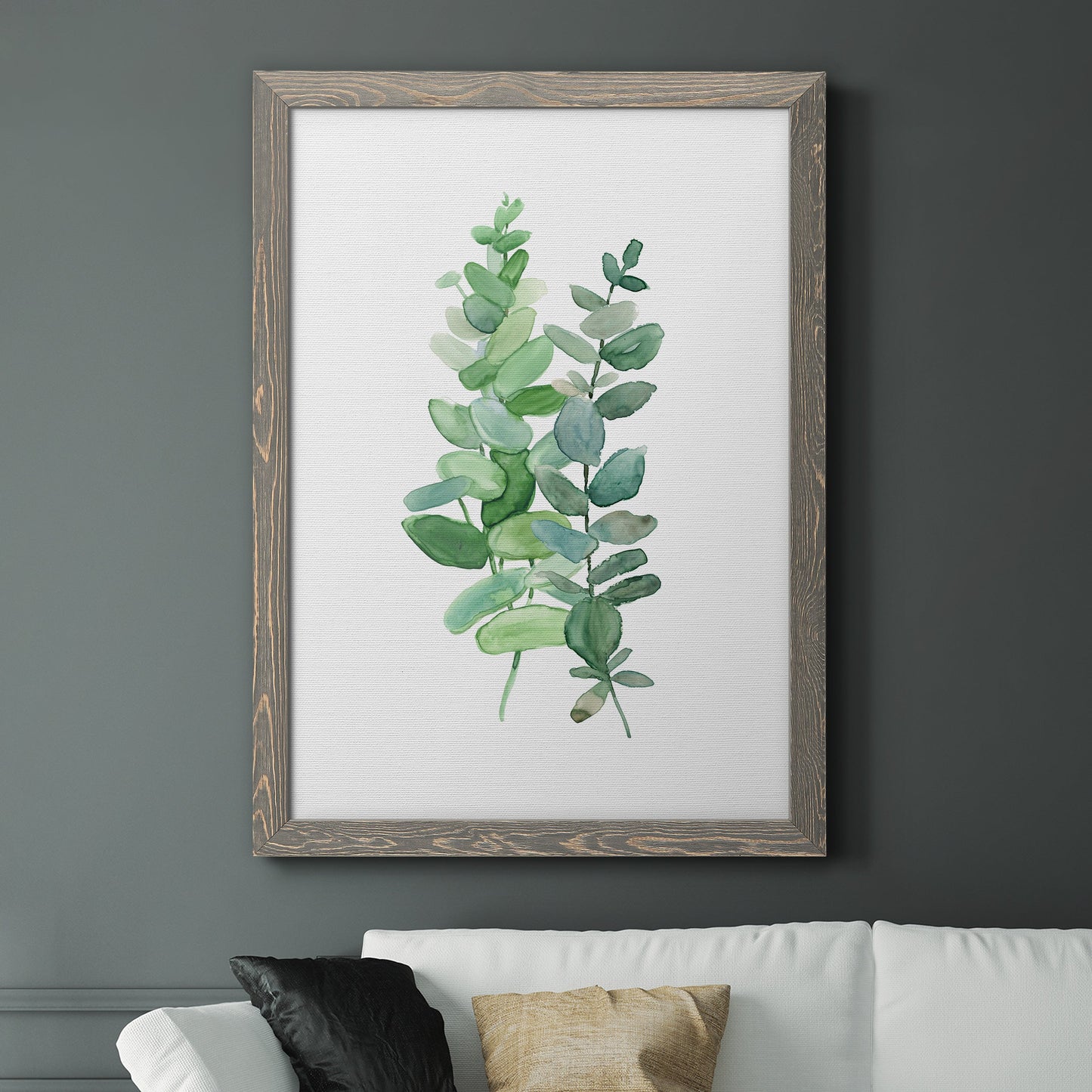 Eucalyptus II - Barnwood Framed Canvas Print
