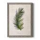 Palm Botanical II - Barnwood Framed Canvas Print