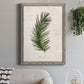 Palm Botanical II - Barnwood Framed Canvas Print