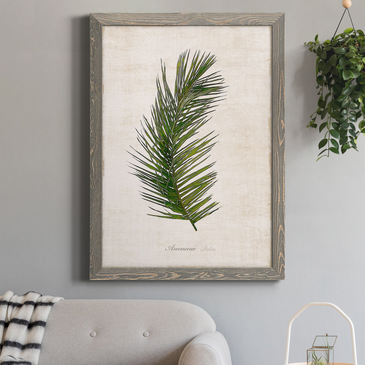 Palm Botanical II - Barnwood Framed Canvas Print